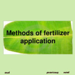 PPT Methods Of Fertilizer Application PowerPoint Presentation Free